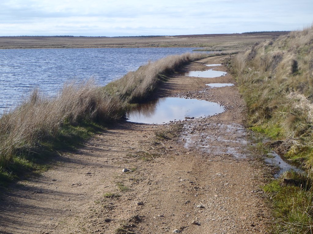 On the way to Altnabreac railway station, probably the most remote station in GB. Note: This was the easy part! I didn't take any pictures of the big puddles.