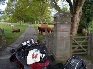 8:15. Croft Castle. Still life with artiodactyla.