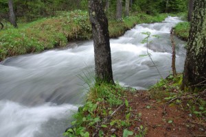 Rally scouting lets you discover new places.